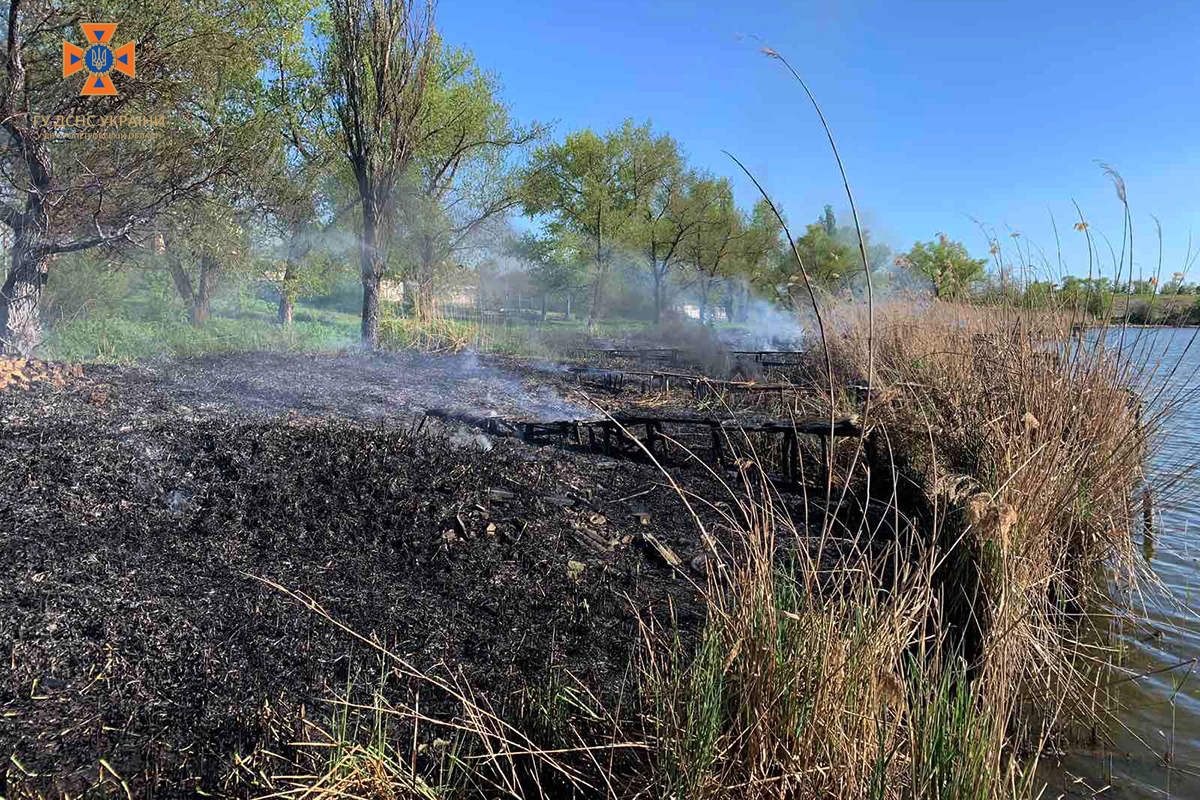 На Дніпропетровщині через займання очерету постраждали двоє дітей