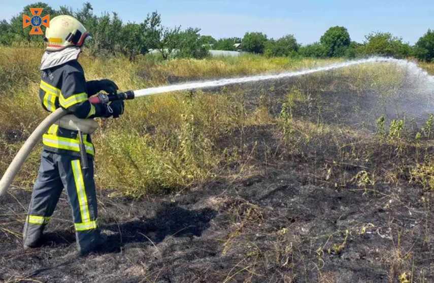 Близ Каменского спасатели тушили масштабный пожар в экосистеме