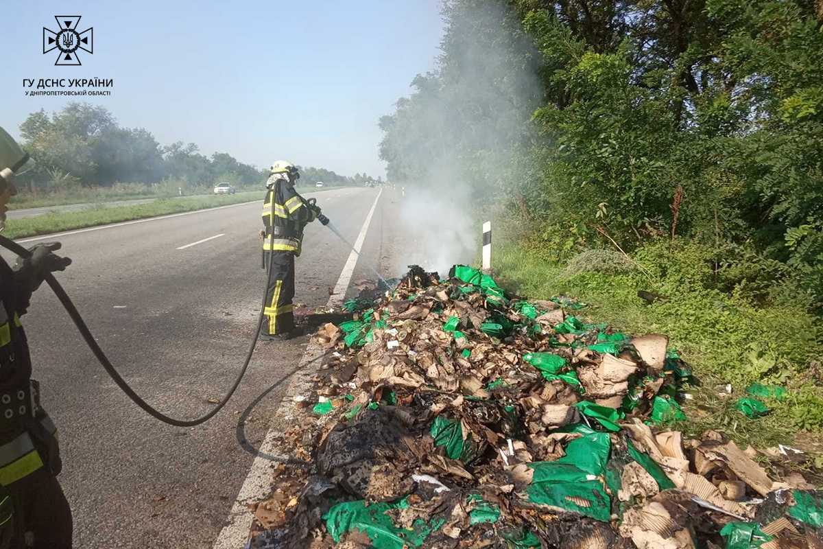 На Днепропетровщине за сутки пожарные ликвидировали 17 возгораний в экосистемах