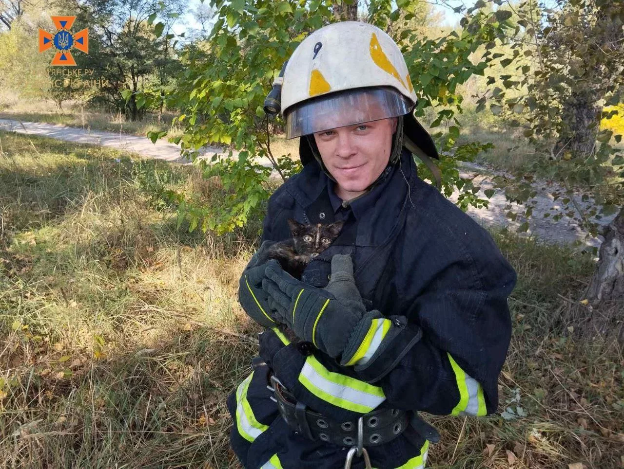 36 пожеж і врятований кіт: надзвичайні події минулого тижня