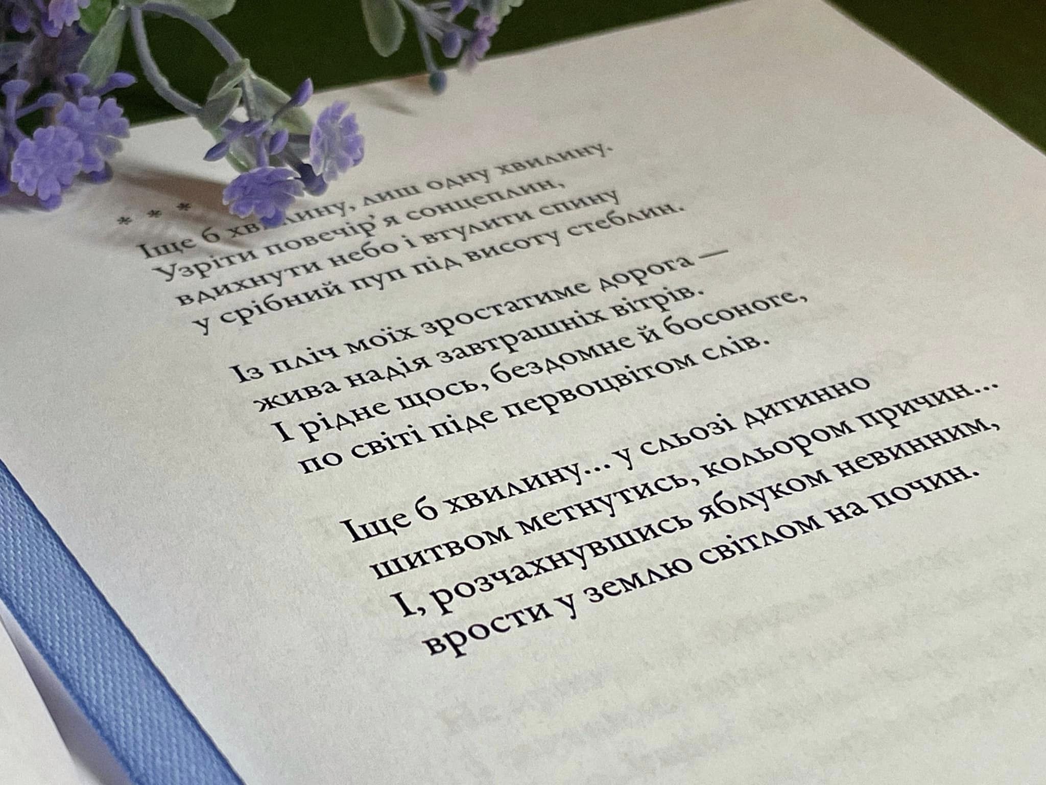 Известный каменской художник оформил книгу поэтессы с Волыни