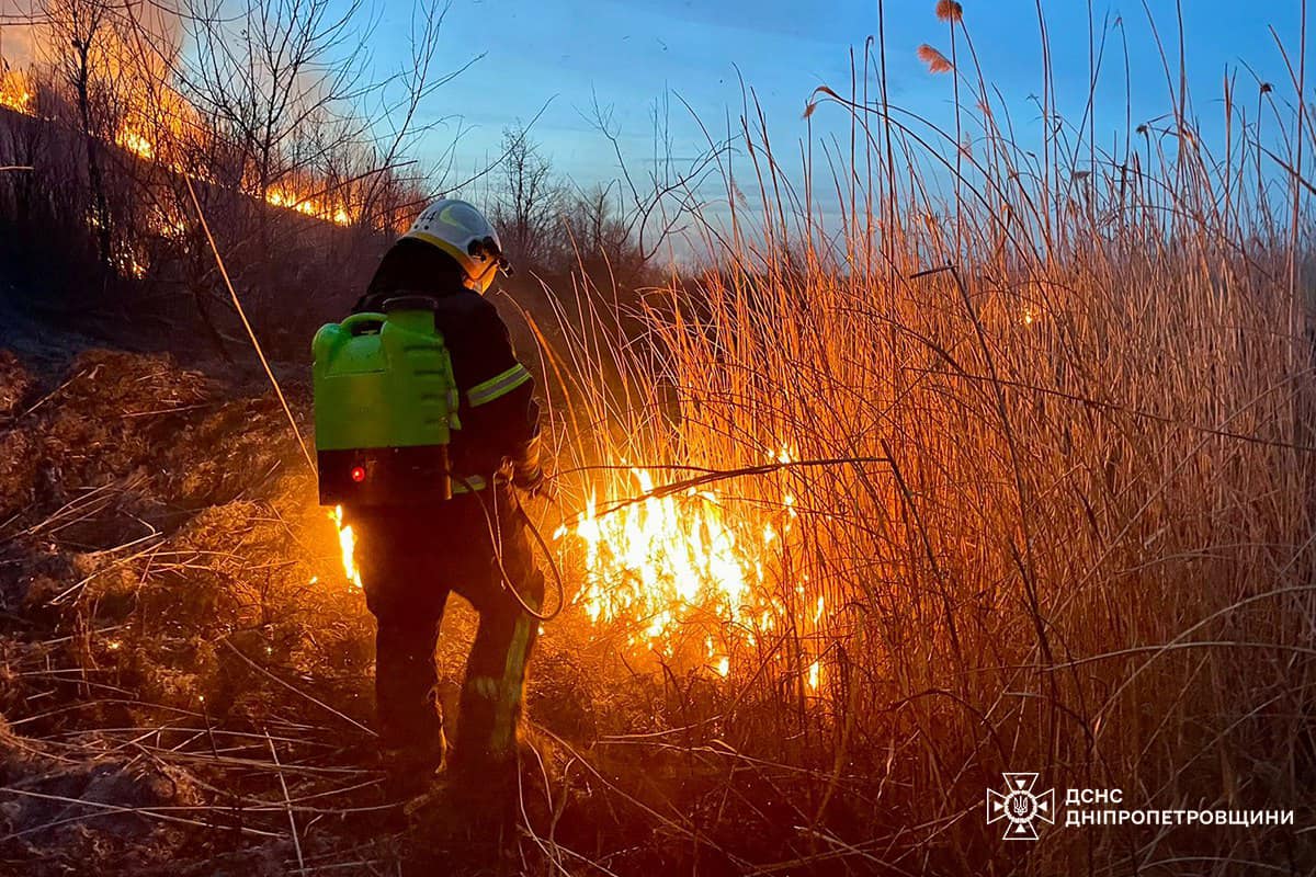 Днепропетровщина горит: спасатели непрестанно борются с пожарами на природе