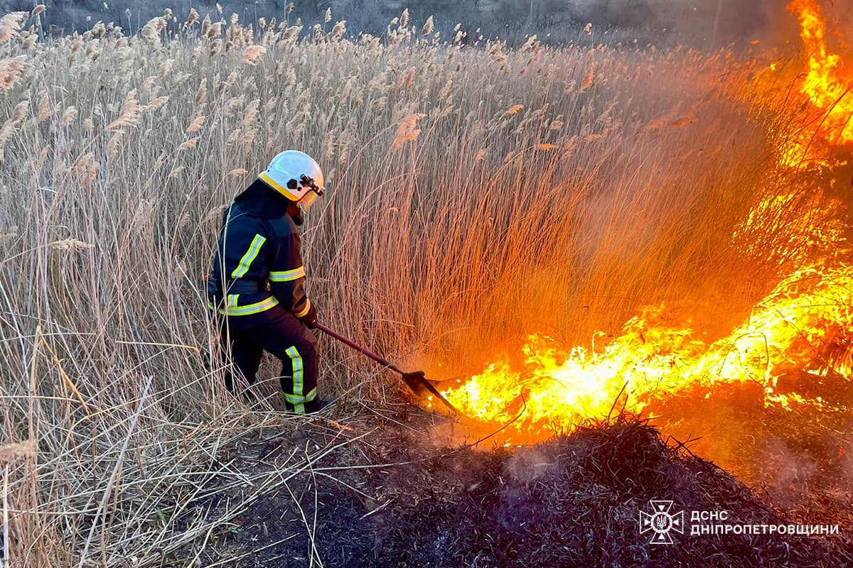 Дніпропетровщина палає: рятувальники невпинно борються з пожежами на природі