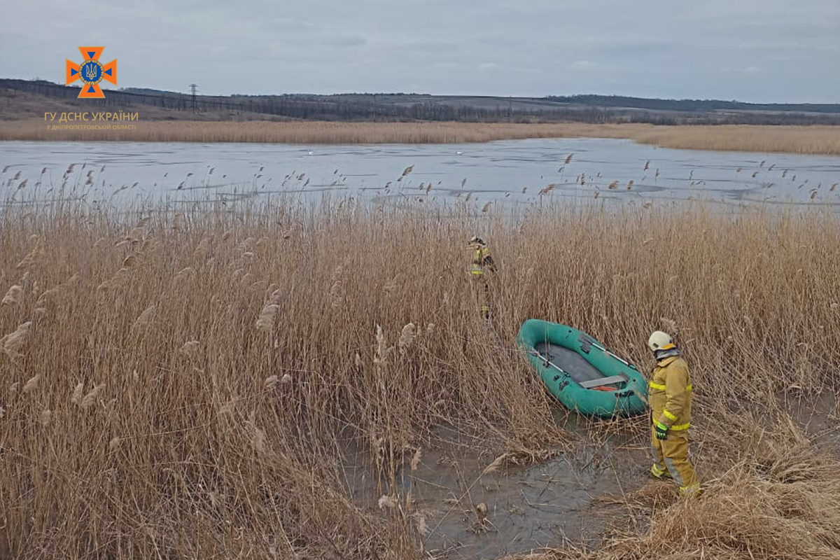 На Днепропетровщине спасатели освобождали лебедя из ледяной ловушки