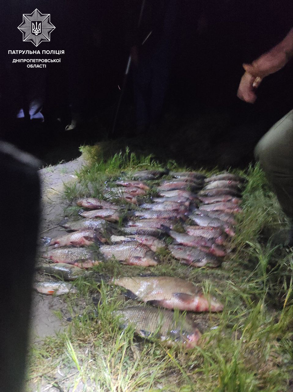 На Голубом озере под Каменским обнаружили рыболова-браконьера