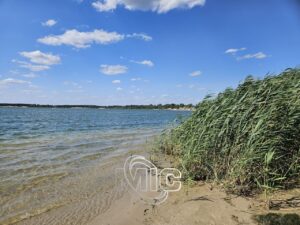 Літній відпочинок на Блакитному озері (фоторепортаж)