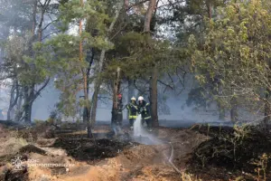 Фото: Головне Управління ДСНС України у Дніпропетровській області