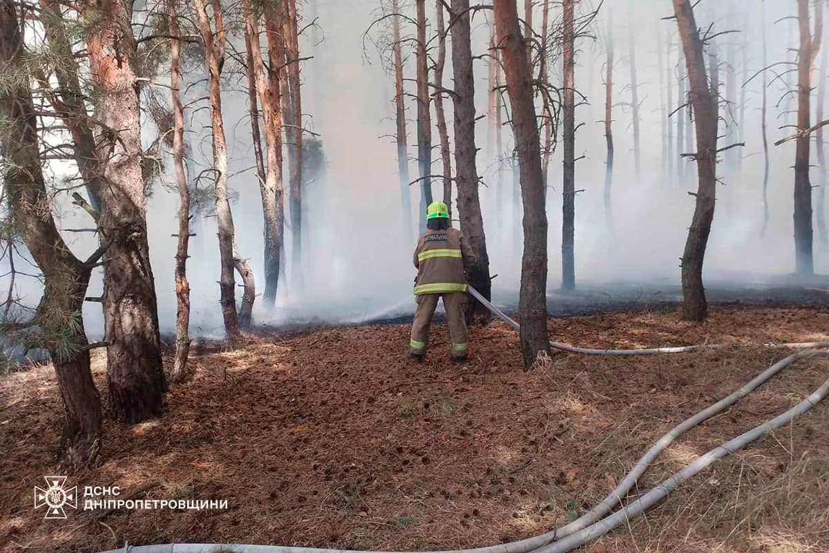 Біля Кам’янського ліквідували масштабну лісову пожежу / Фото: Головне управління ДСНС України у Дніпропетровській області