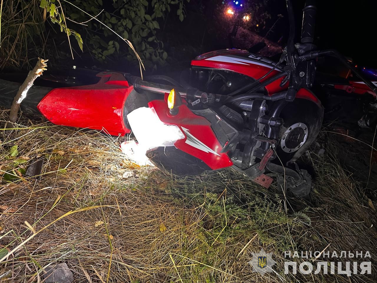 На Дніпропетровщині службовий собака розшукав винуватця смертельної ДТП / Фото: Головне управління Національної поліції в Дніпропетровській області.