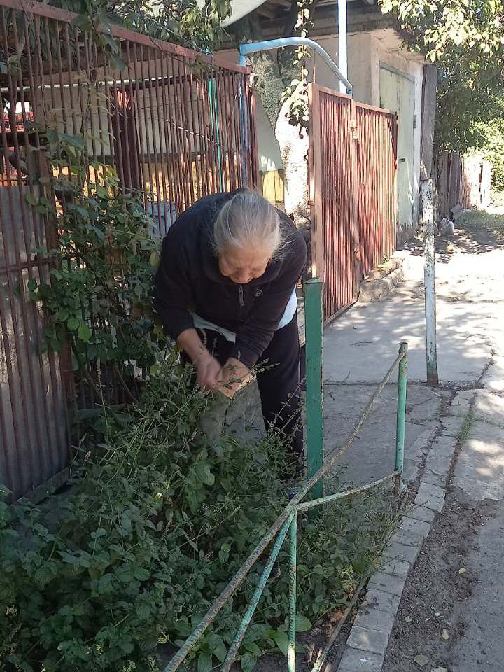 Органи самоорганізації населення вчергове долучилися до благоустрою Кам’янського / Фото: Кам’янська міська рада