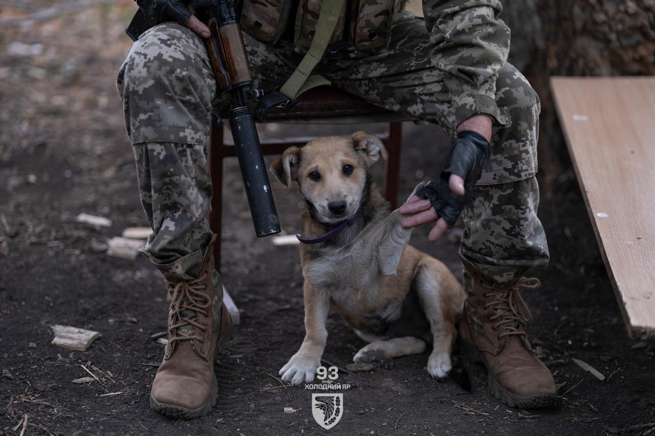 Фото: 93 ОМБр Холодний Яр