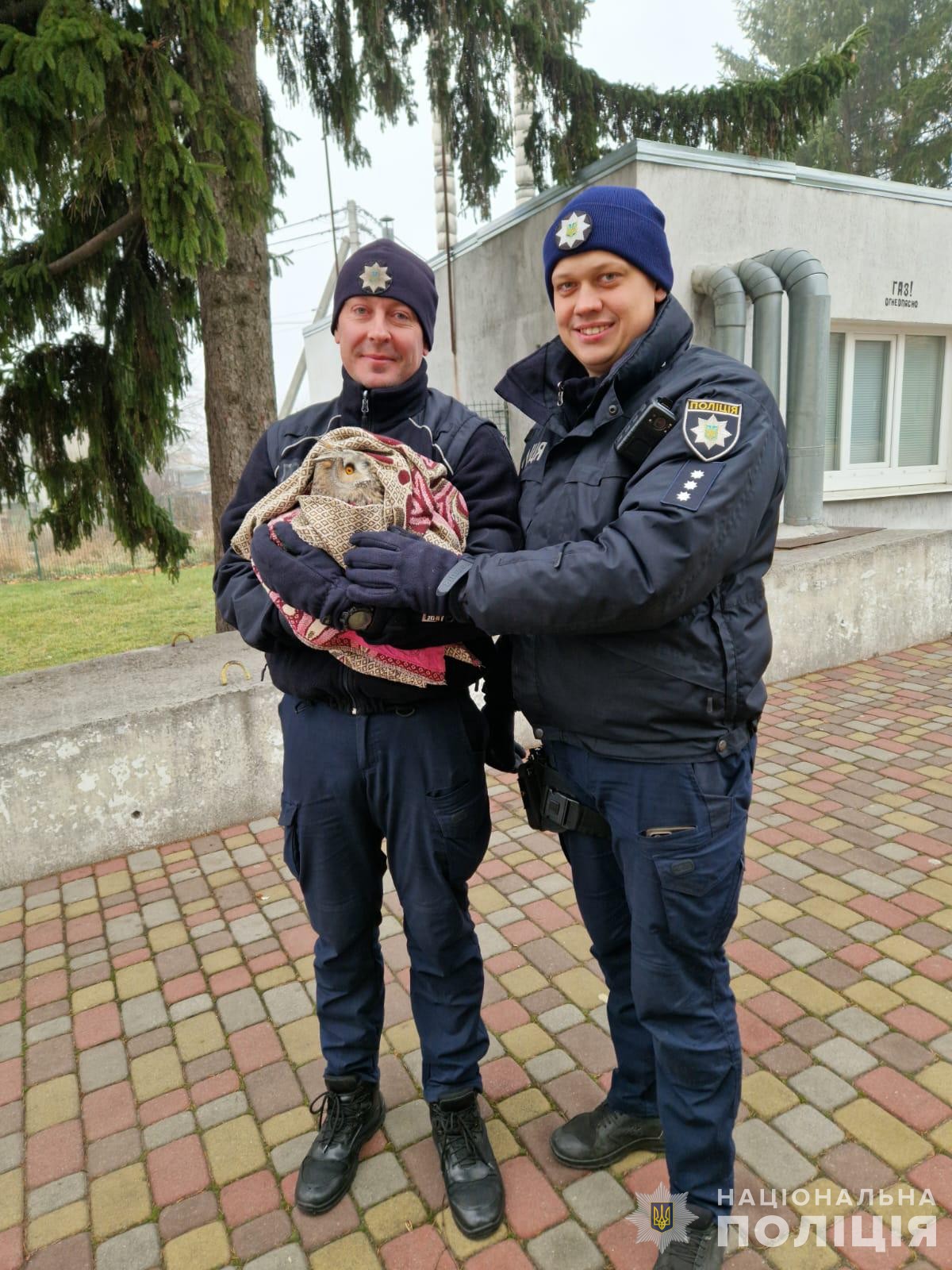 На Дніпропетровщині поліцейські врятували молоду сову / Фото: поліція Дніпропетровської області