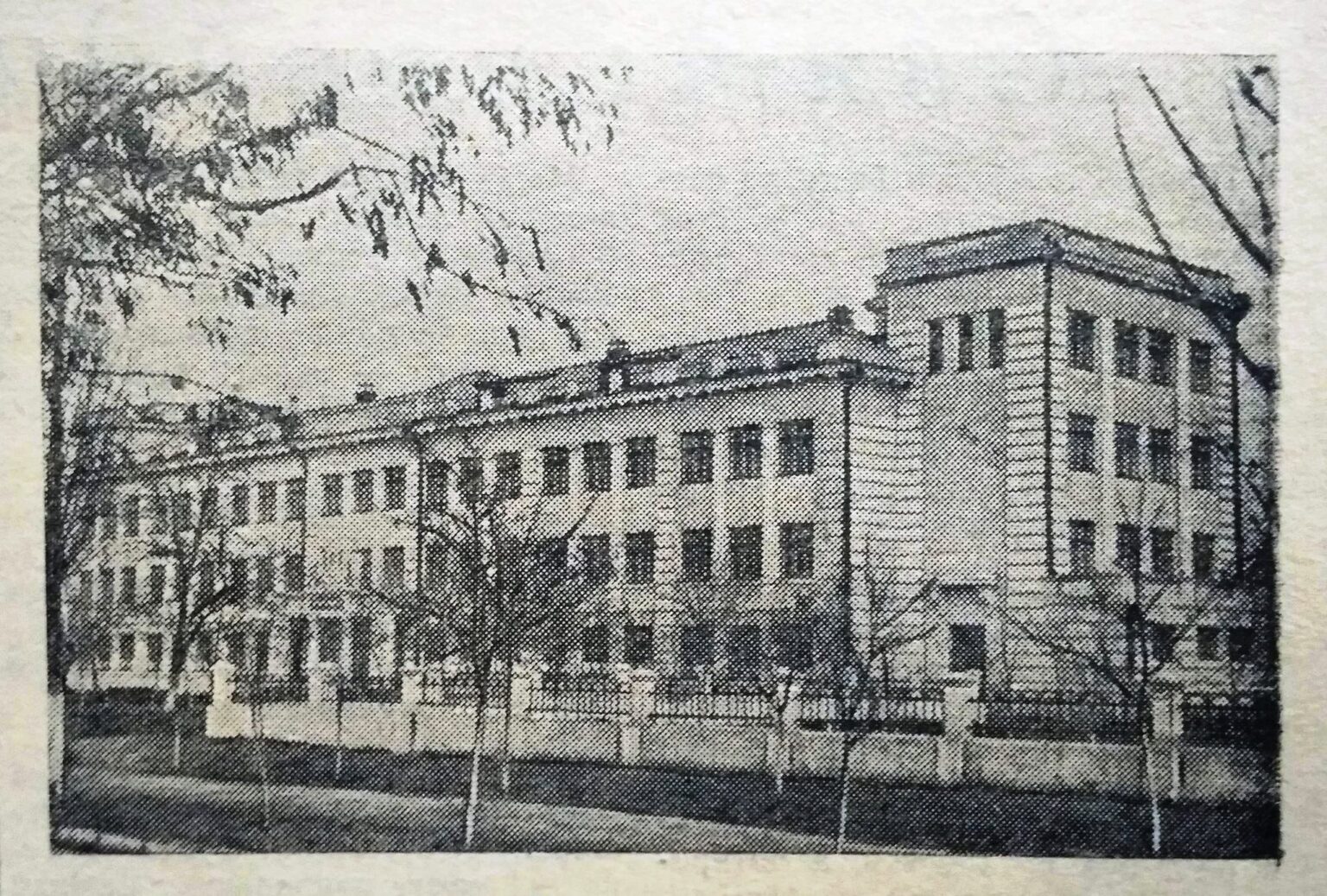 Двічі найбільша: з історії першої школи кам’янського Соцміста