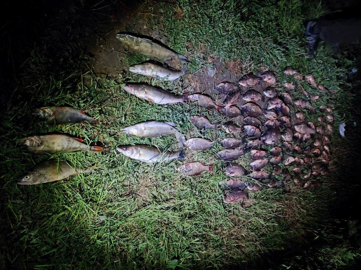 За день рыбпатрульные Днепропетровщины выявили нарушений более чем на 280 тысяч гривен / Фото: Днепропетровский рыбоохранный патруль