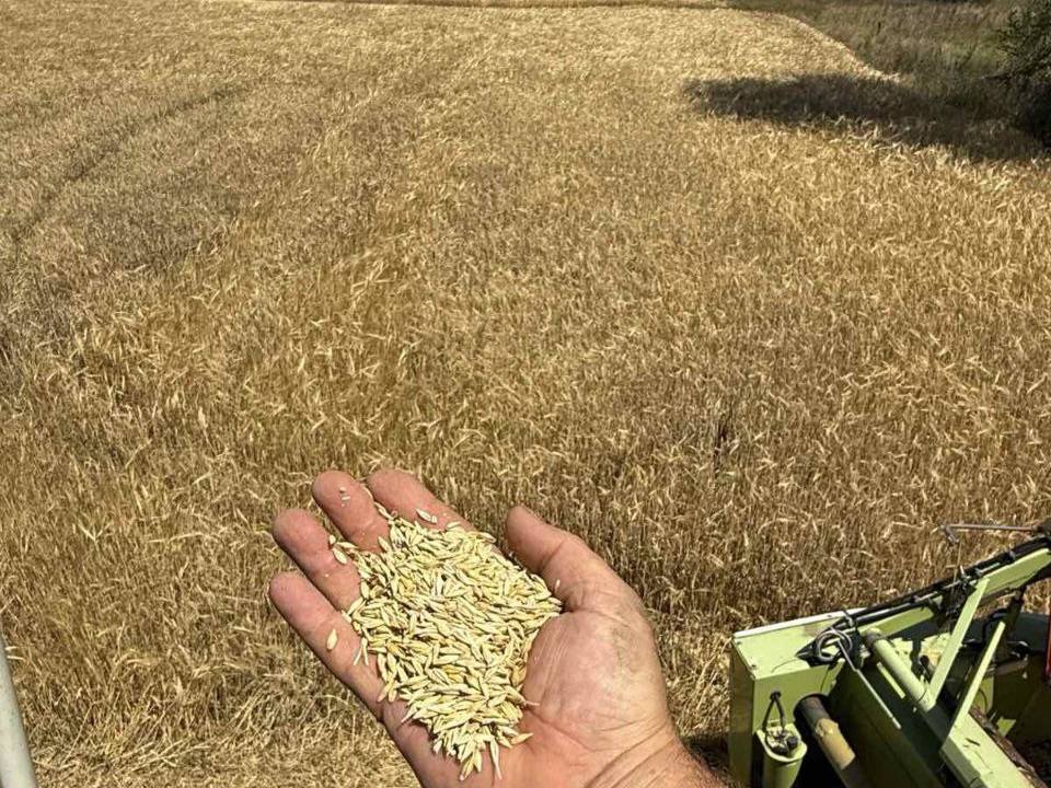 В Каменском районе стартовала уборочная