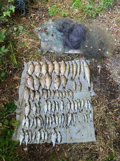 270 правонарушений раскрыли рыбпатрульные Днепропетровщины в течение июля