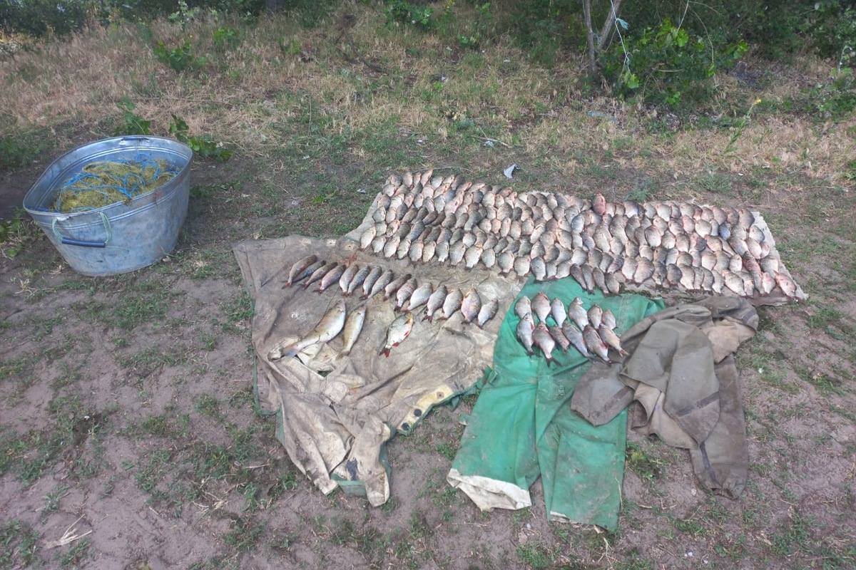 Наловил рыбы более чем на 300 тысяч гривен: под Каменским разоблачили браконьера
