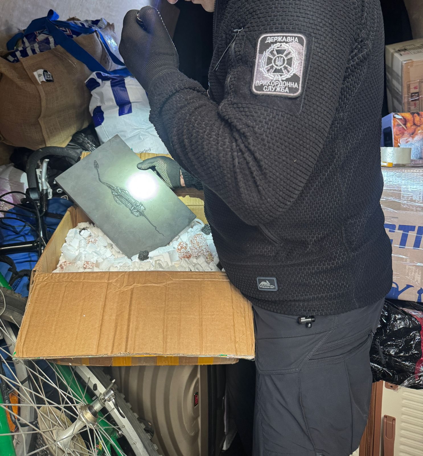 Украинец пытался ввезти из-за границы скелет доисторической рептилии