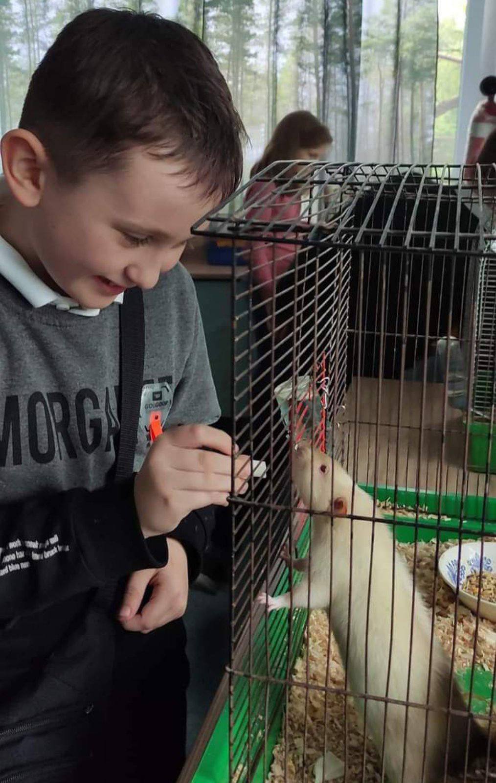 Понад 100 тваринок: у дитячому екоцентрі Кам’янського розповіли про мешканців живого куточка