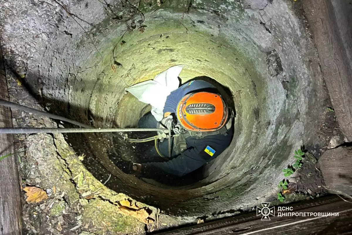 На Днепропетровщине чрезвычайники спасли кота из девятиметрового колодца