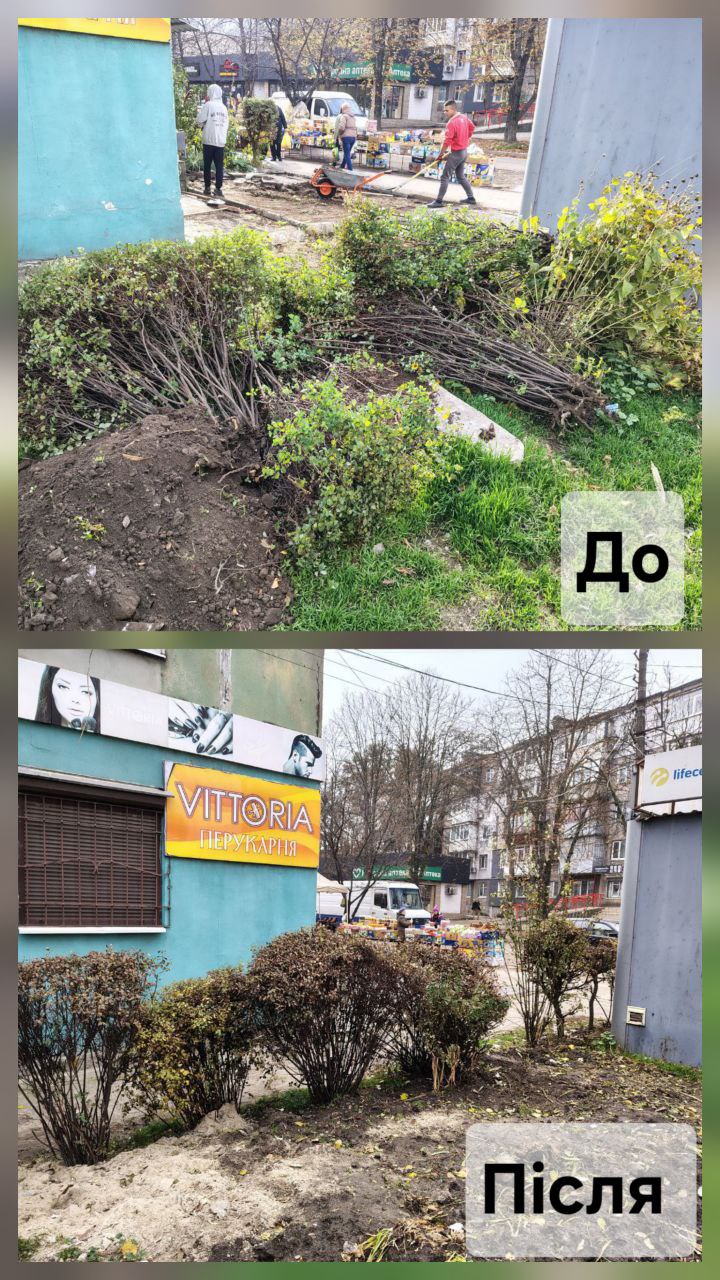 В Каменском провели очередную инспекцию города по содержанию объектов бизнеса