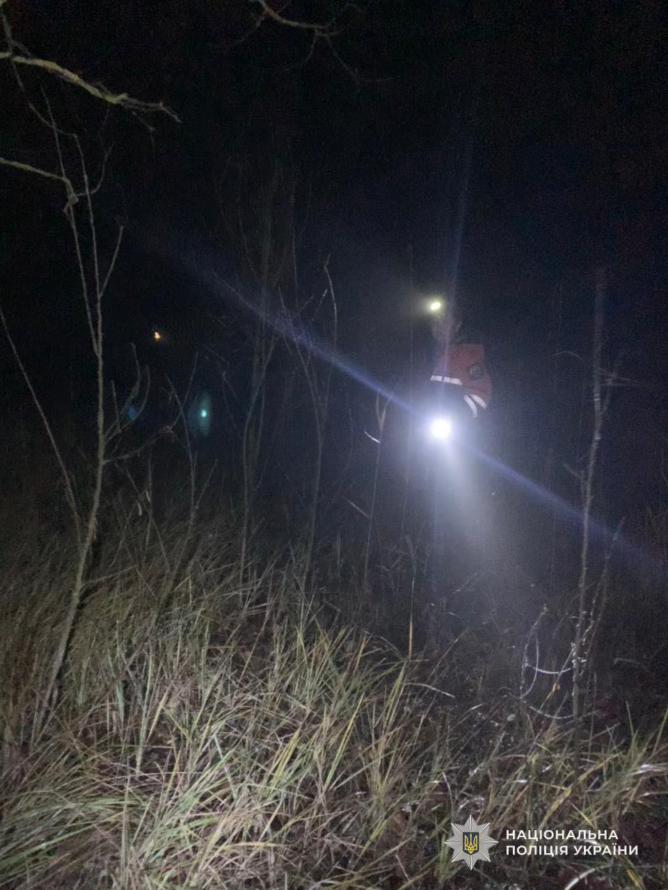 На Днепропетровщине более суток искали заблудившихся в лесу женщину с детьми