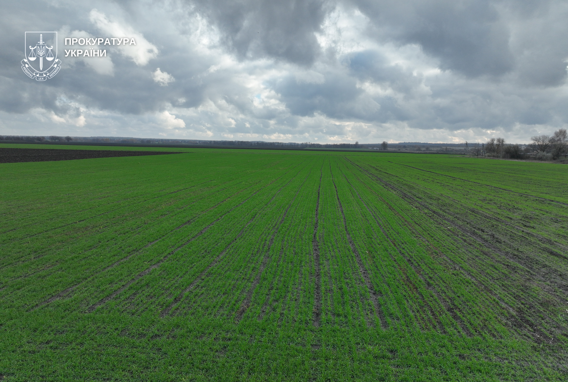 На Днепропетровщине у государственного вуза пытались забрать более 1500 гектаров земель