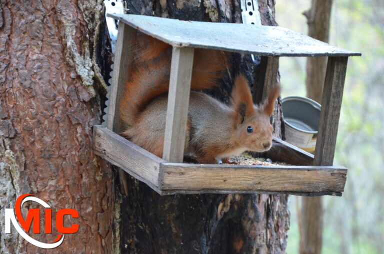 Ласковый подарок ноября: тёплый прощальный поцелуй осени в Каменском (фото)