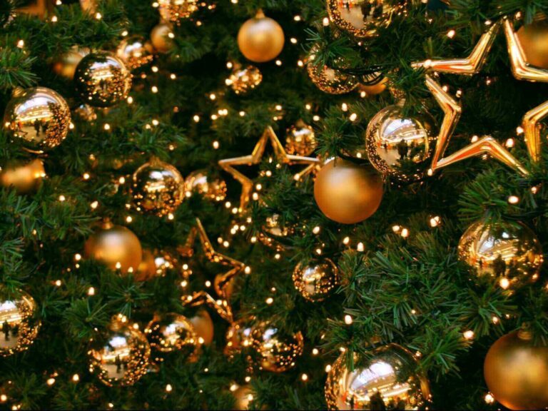 Свято наближається: новорічні ялинки працівників МІС ТБ