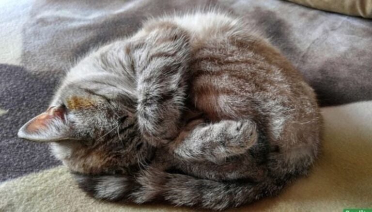 Якою буде погода в Кам’янському 27 та 28 грудня