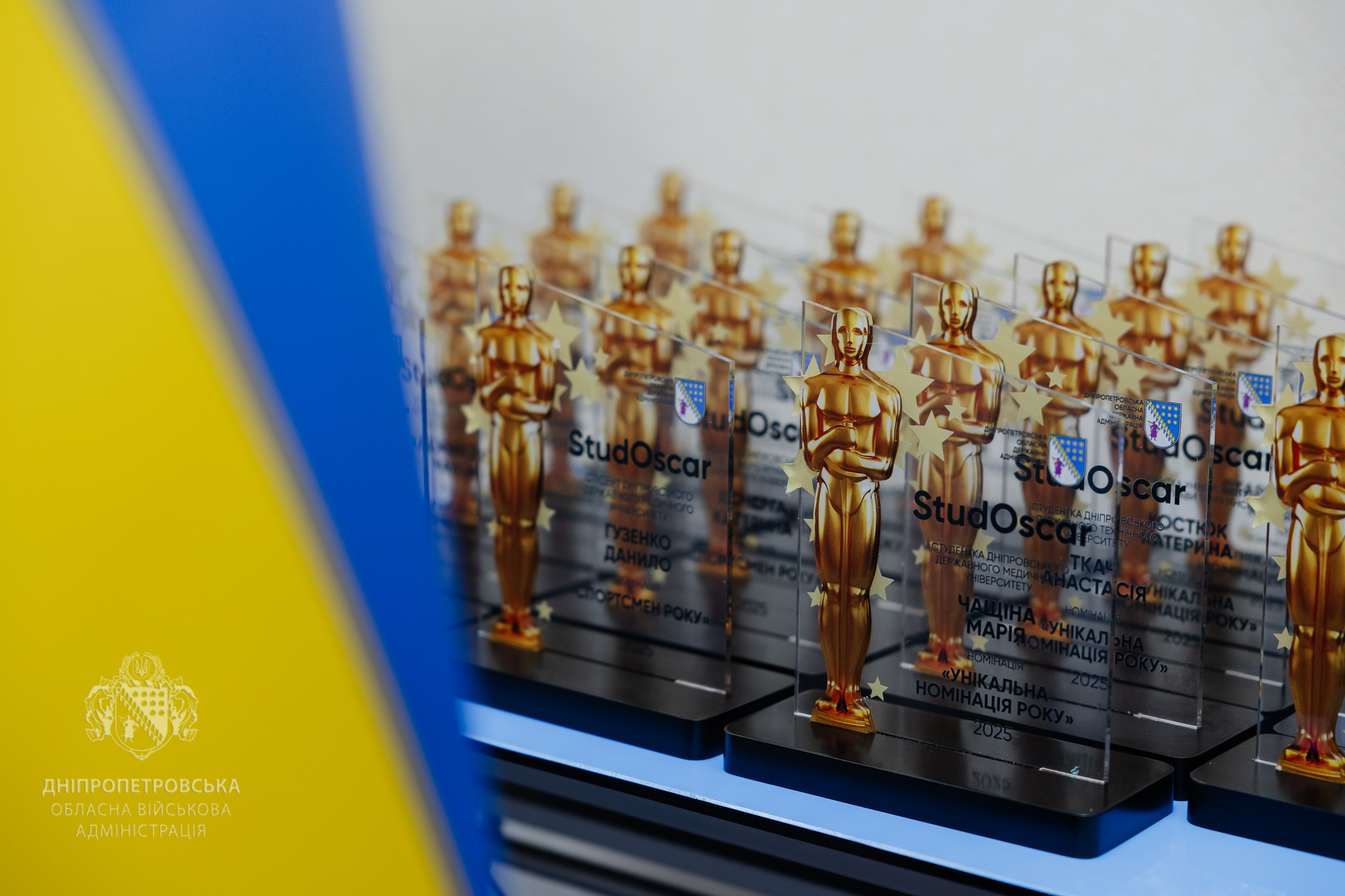 Студентка університету Камʼянського отримала обласну відзнаку 