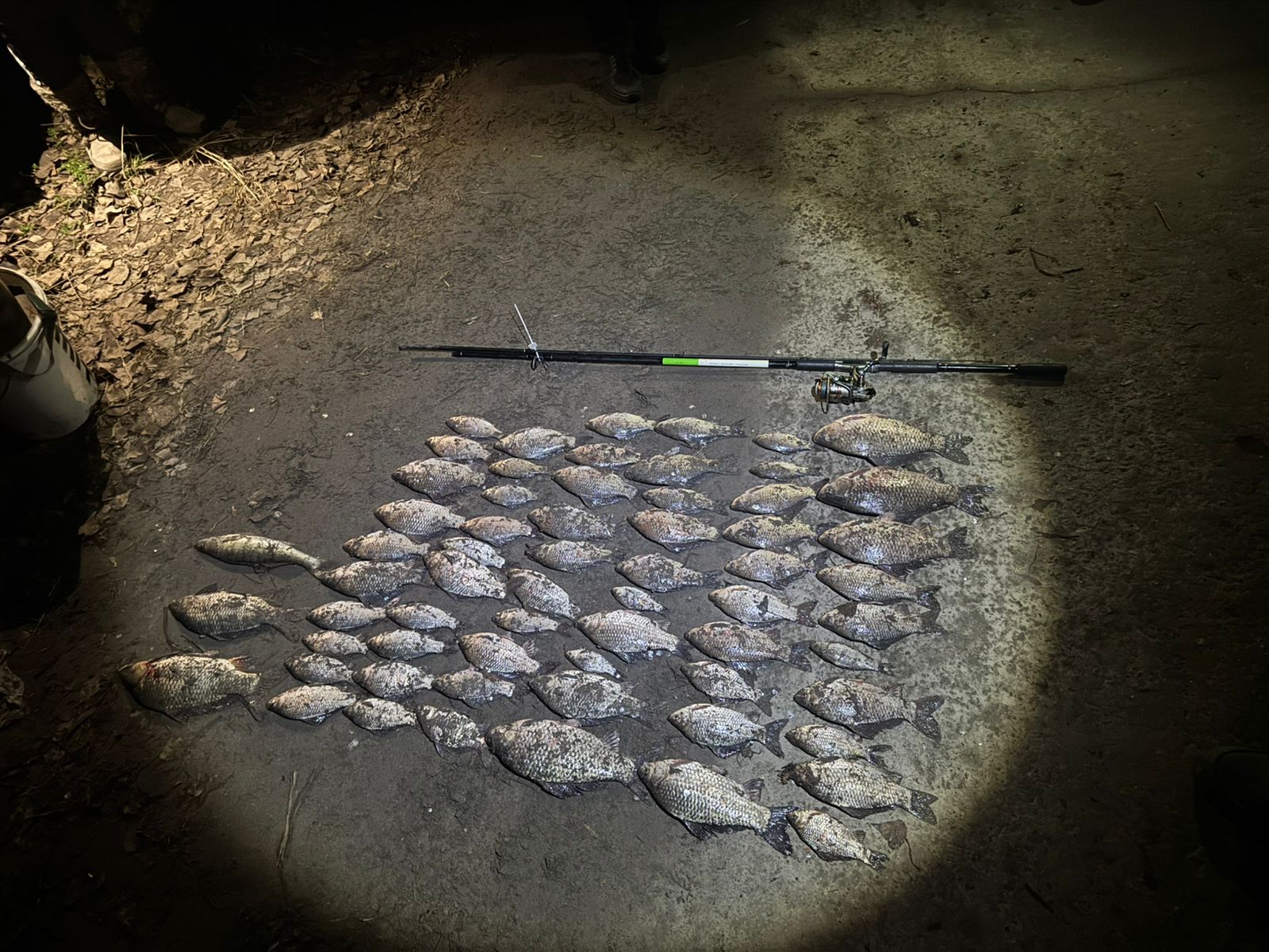 Улов на понад 100 тисяч гривень: у Кам’янському викрили рибалку-браконьєра