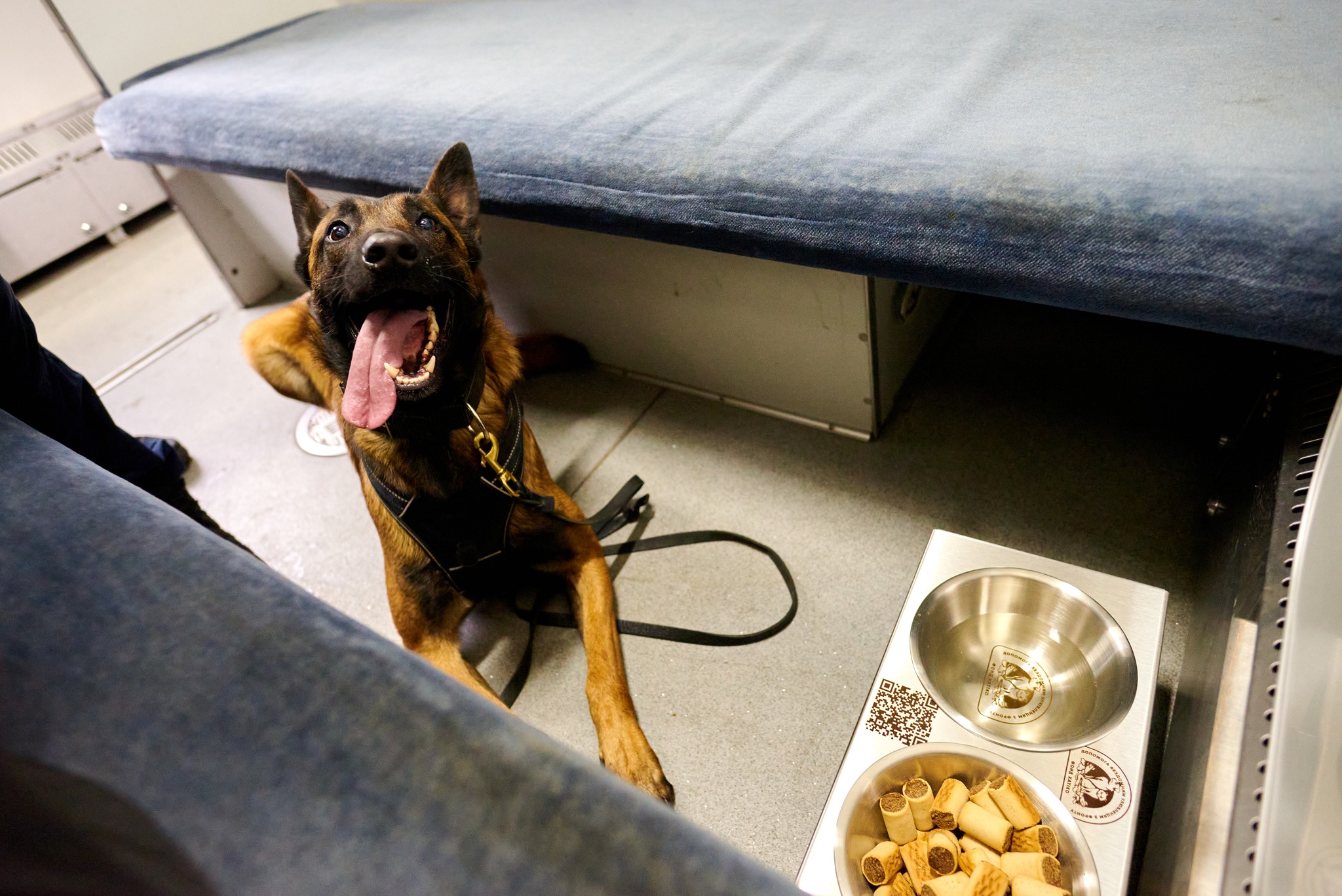 Укрзалізниця підготувала 100