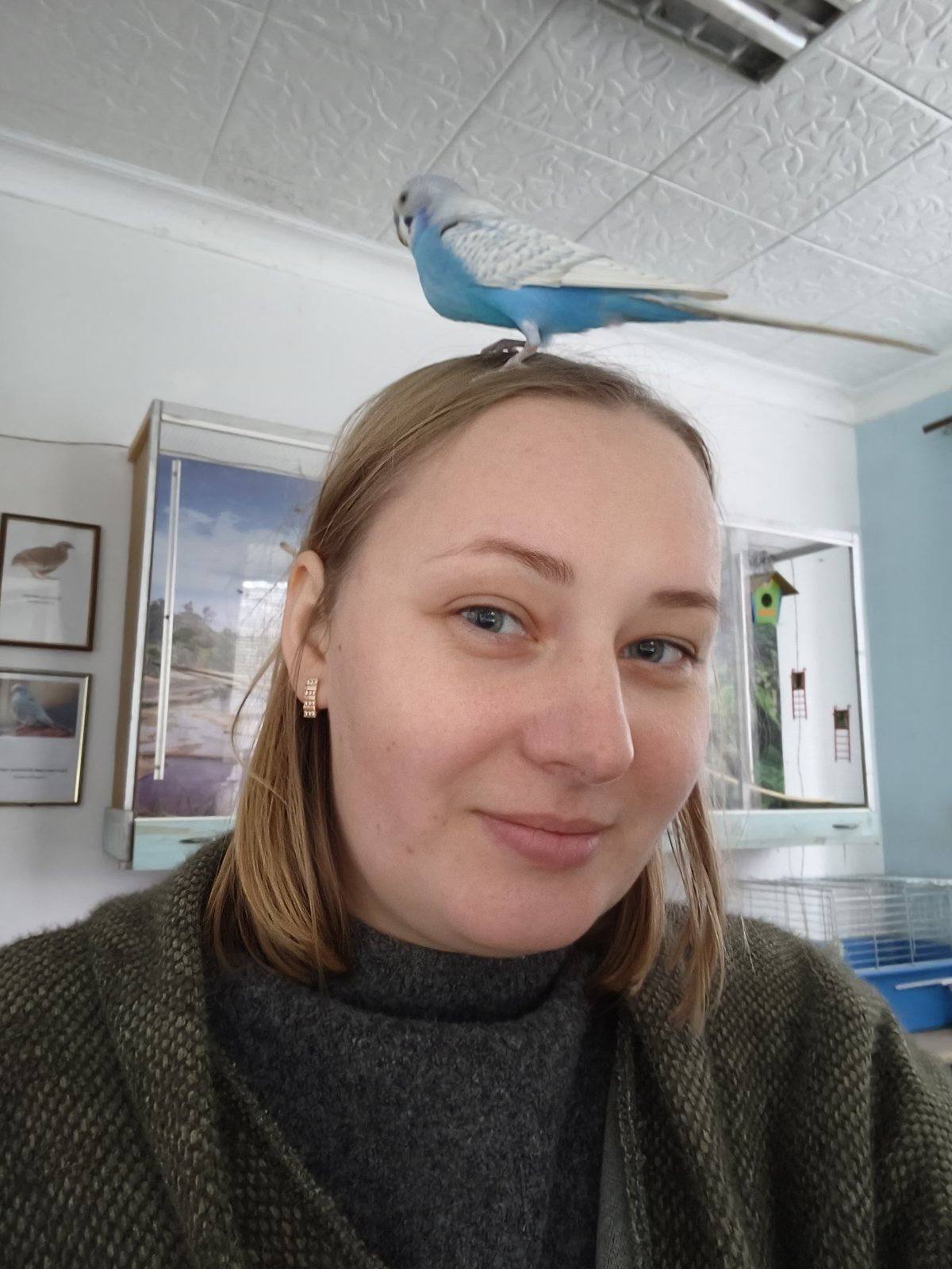 У Дитячому екологічному центрі Кам’янського оселився новий пернатий мешканець