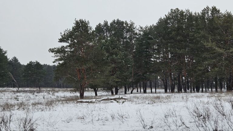Яку погоду очікувати у Кам’янському на вихідні 7 та 8 лютого