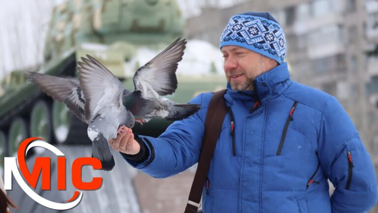 3 лютого — всесвітній день годування птахів: допоможемо пернатим Кам’янського пережити морози