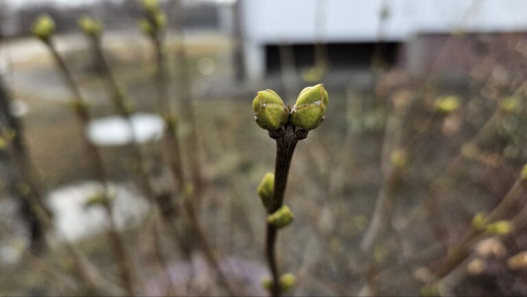 Погода у Кам’янському 4 березня: суцільна хмарність
