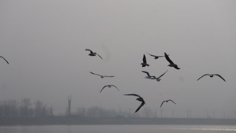 Яку погоду очікувати у Кам’янському 25 березня