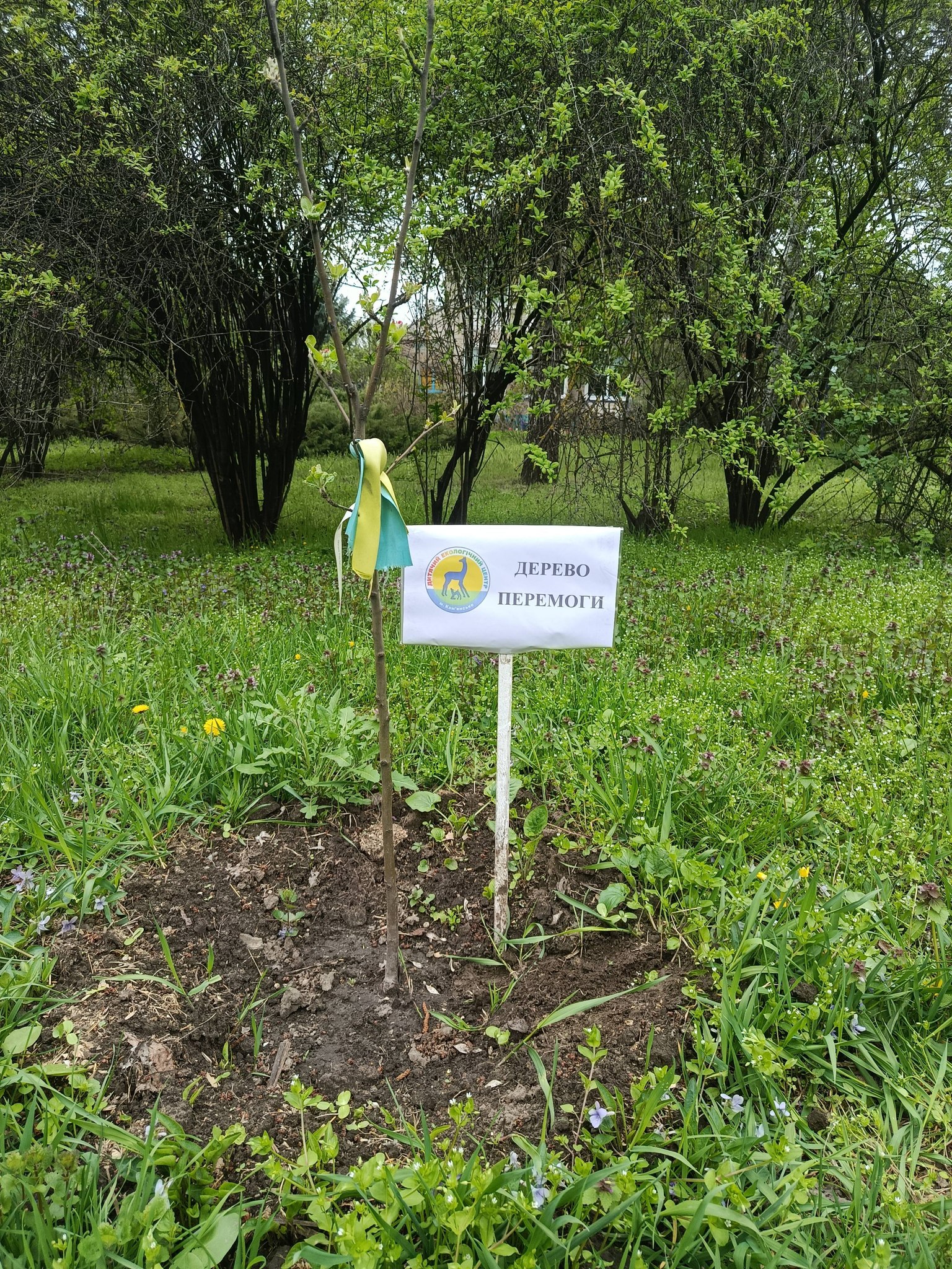 Дитячий екологічний центр Кам’янського долучився до акції 