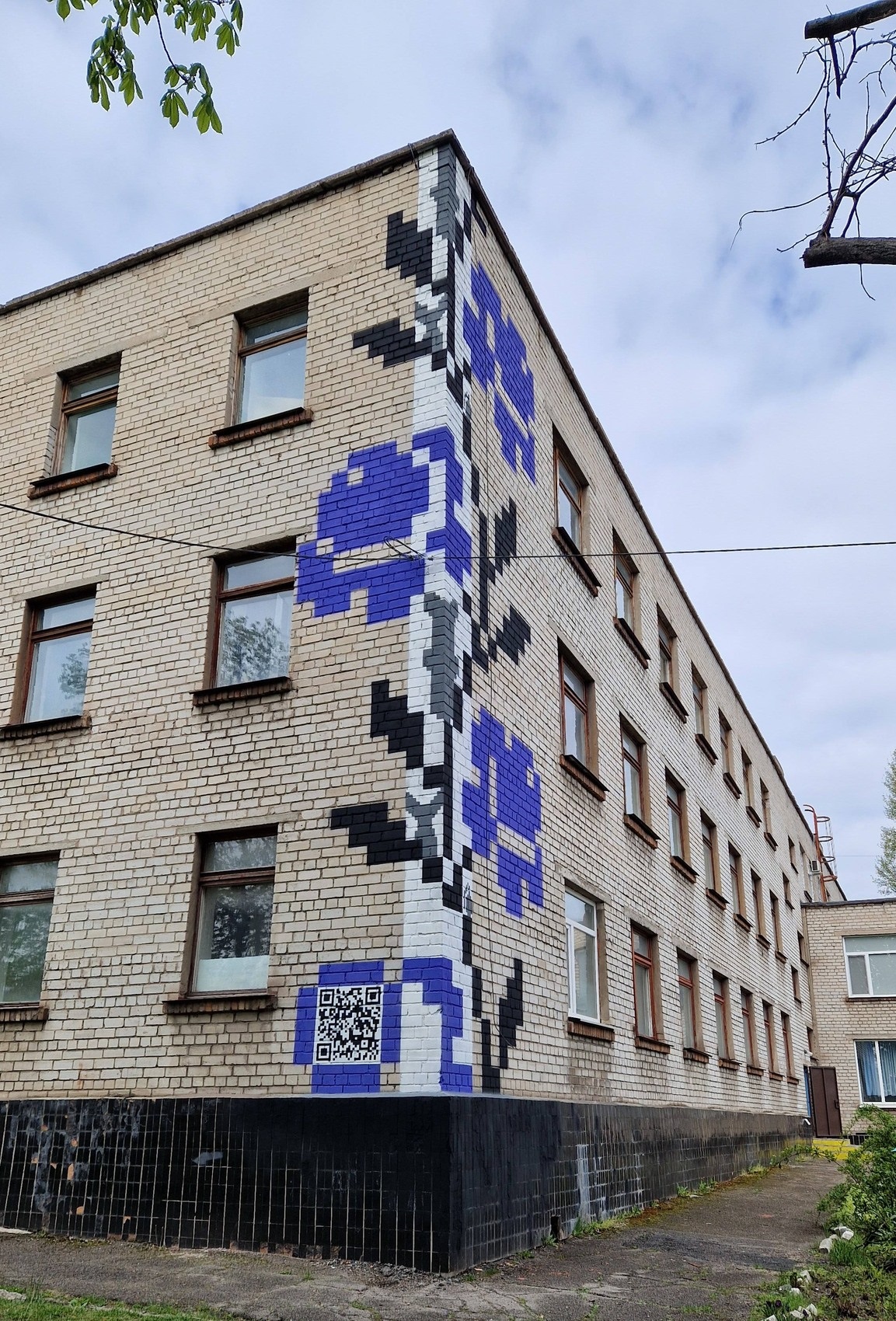 На стінах ліцею в Кам’янському з’явилися 