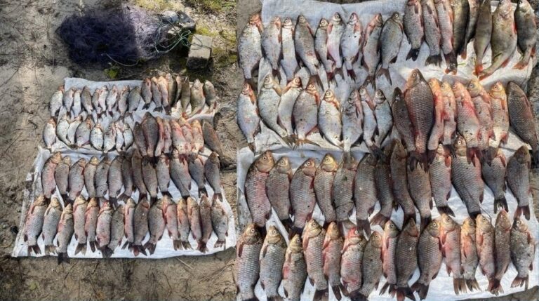 У Кам’янському біля річпорту затримали рибалку-браконьєра