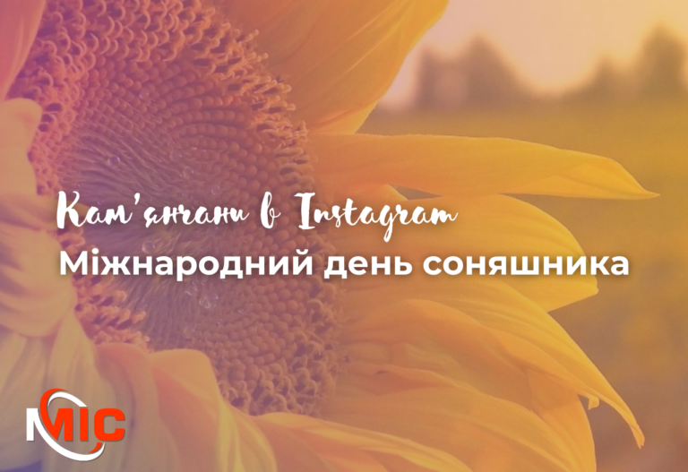 Кам’янчани в Instagram: міжнародний день соняшника
