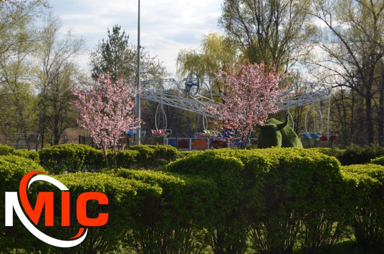 Заспокійлива атмосфера лівобережного парку: особлива мить, яку важливо не пропустити