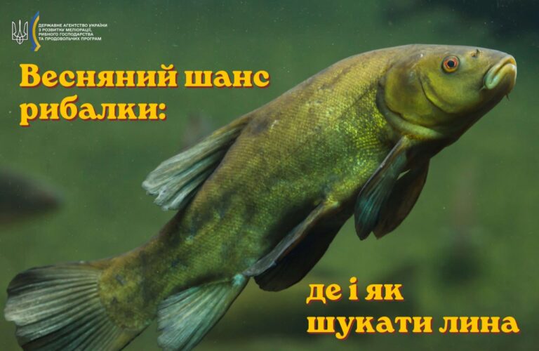 Весняне полювання на "золото" плавнів: як впіймати лина у Кам’янському