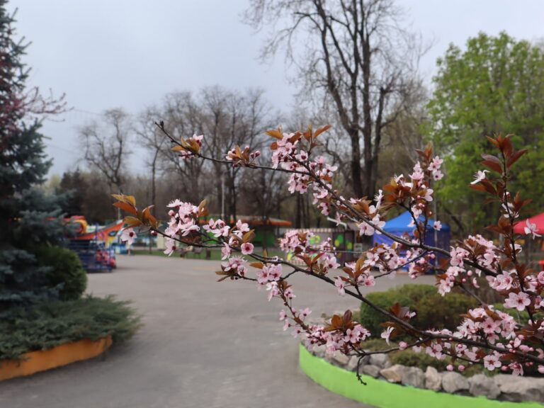 Погода у Кам’янському 10 квітня: хмарно і дрібний дощ