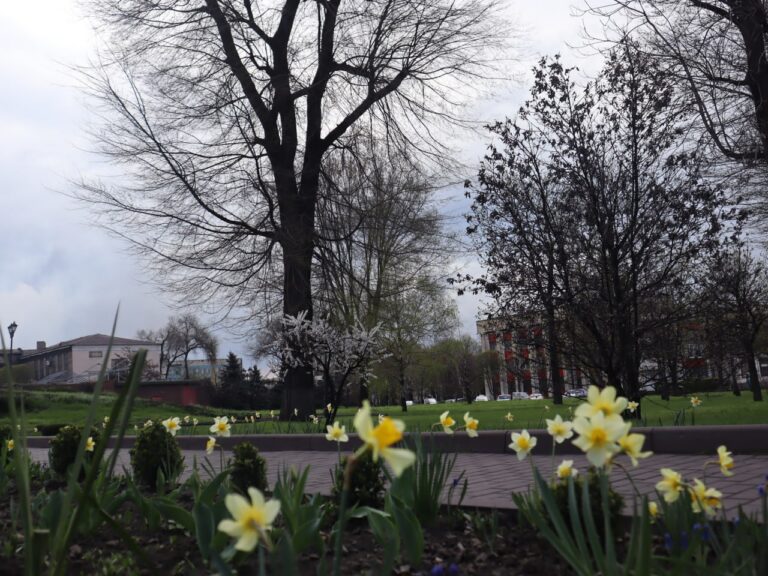 Яку погоду очікувати у Кам’янському 9 квітня