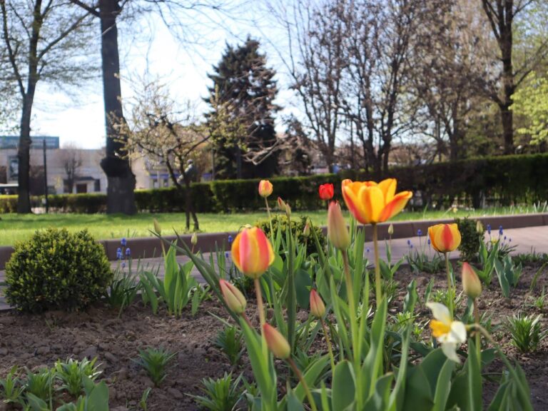 Яку погоду очікувати у Кам’янському на вихідні 18 та 19 квітня