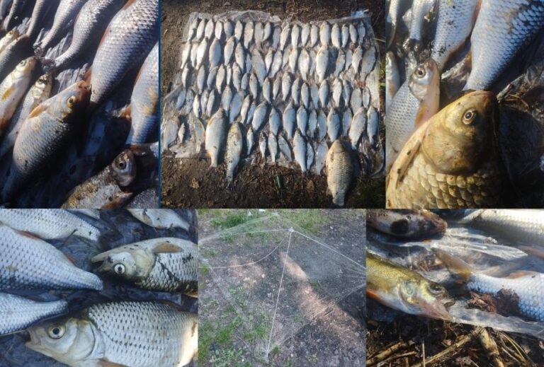 На лівобережжі Кам’янського викрили рибалку-браконьєра з "павуком"