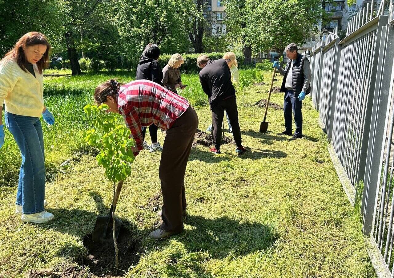 На подвір’ї художньої школи Кам’янського провели масштабне озеленення