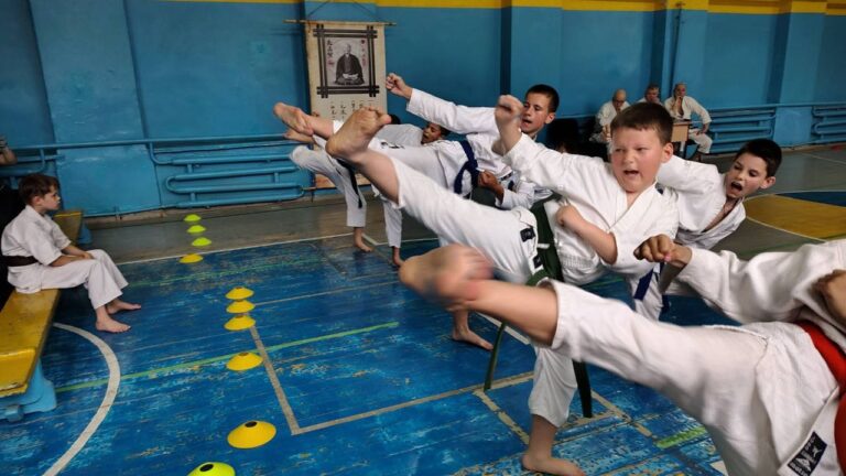 Традиційне карате-до стилю Шотокан у місті Кам’янському